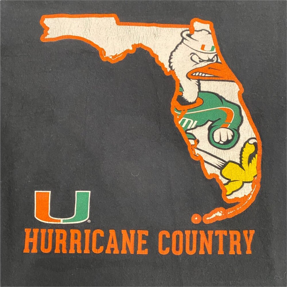 Gildan Miami Hurricanes Tshirt Sebastian Ibis Florida Graphic Mens S Black
